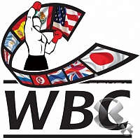 WBC оправдал Поветкина, назначив бой со Стиверном 