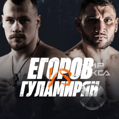 WBA вновь назначила бой за титул между Егоровым и Гуламиряном